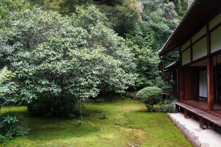 Zen temple image representing Hollow Bones Zen