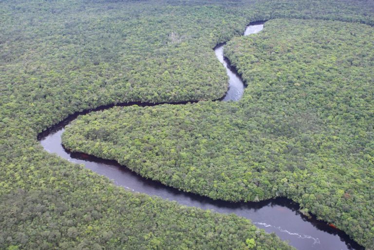 The Dharma is a River