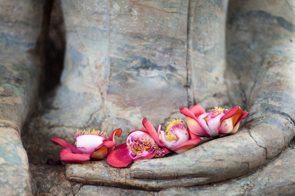 Colorful pink-red flowers resting in the creases of weathered stone hands, conveying a respectful offering scene